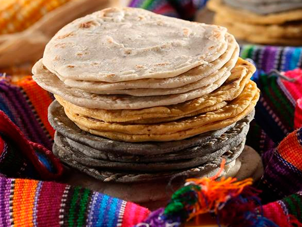 Los diferentes tipos de tortillas que existen en México | Nopal Cibernético